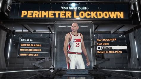 How To Make The Best Perimeter Lockdown Build In Nba K Youtube