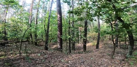 This Slender Ukrainian Girl Loves Sex Harder Part