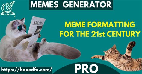 Meme Formats Explained
