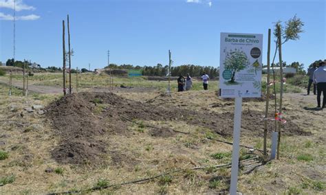 Gay Recorri El Parque Que Llevar Un Nombre Elegido Por Los Bahienses La Br Jula