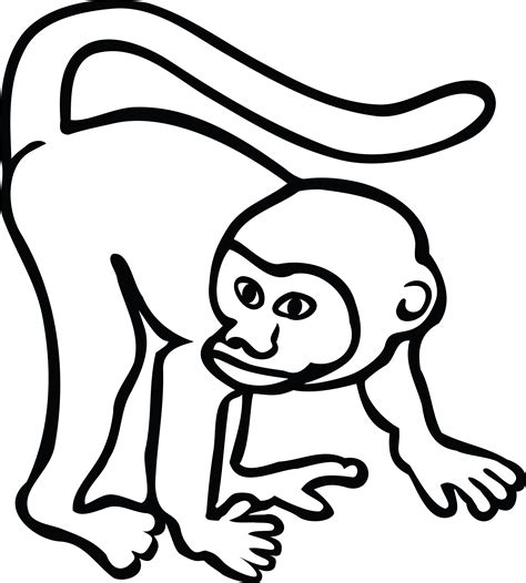 Free Clipart Of A monkey