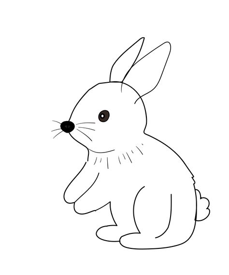 Cute Rabbit Cartoon Drawing Free Stock Photo Public Domain Pictures