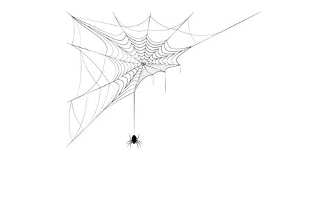 Spider On Corner Web Graphic By Rnko · Creative Fabrica