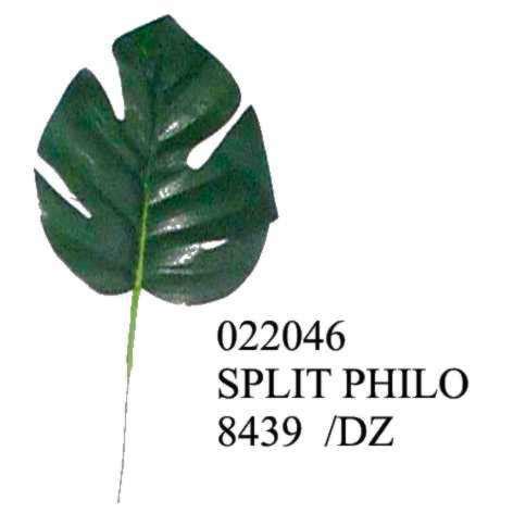 Split Leaf Philodendron Leaves - Cash & Carry