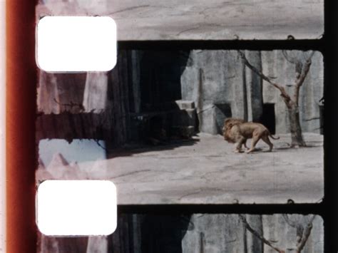 Home Movie: 097793 : Free Download, Borrow, and Streaming : Internet ...