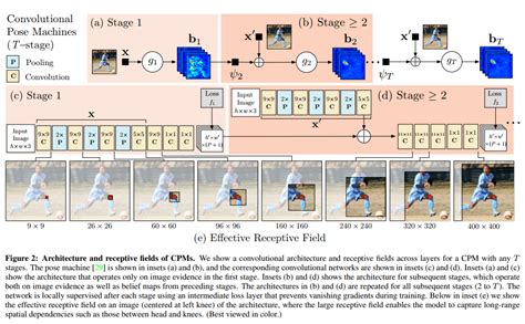 Human Pose Estimation