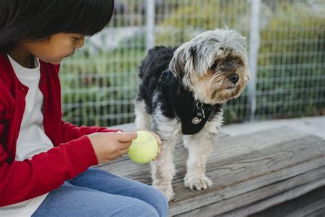 The incredible hidden history of hollis ny is finally unearthed 13