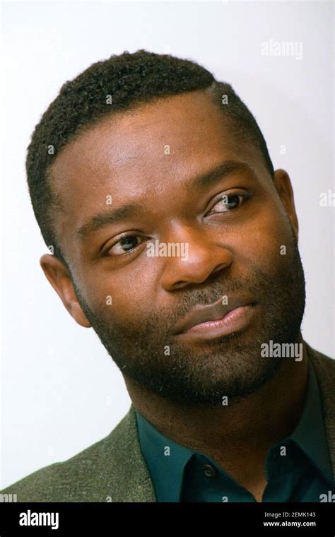 David Oyelowo At The Hollywood Foreign Press Association Press