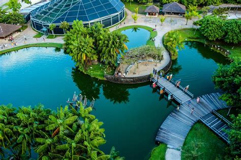 belem    tripadvisor