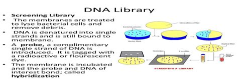 The Importance of Screening Libraries in Drug Discovery – Chemistry ...