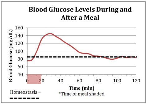 Glucose Levels Graph