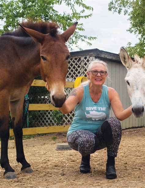 Massive layout changes are coming to the daily Seguin Gazette 6