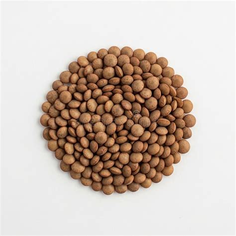 The Lentils are Small, Round, and Flat, with a Smooth Texture and