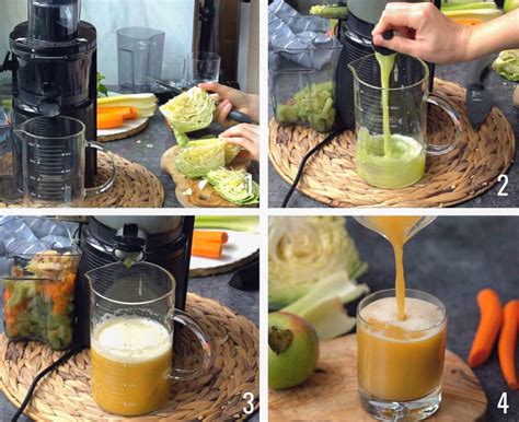 Best Cabbage Juice Recipe For Ulcers Blender Juicer Healthy Taste