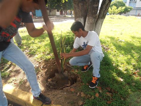 Agrupaci N Ecol Gica La Tierra Primero Junio