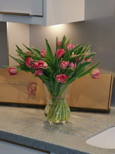 Simply Tulips Letterbox Buy Online Or Call