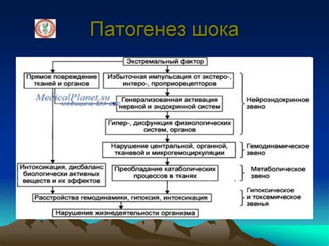Травматический шок - презентация онлайн