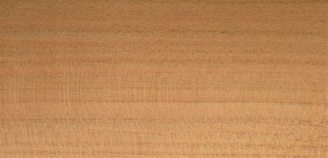 Cherry European Timber Development Uk