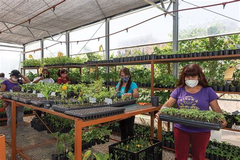 Vivera Orgánica La Huerta Y Vivero De 14 Mujeres Del Barrio Rodrigo