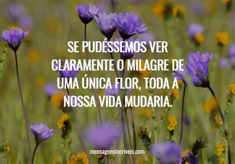 Lindas Flores E Frases - 60 frases de flores que vão desabrochar a inspiração dentro de você