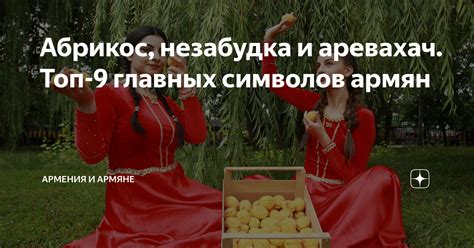 Абрикос, незабудка и аревахач. Топ-9 главных символов армян | Армения и ...