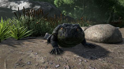 Image Ark Beelzebufo Screenshot 005 Ark Survival Evolved Wiki