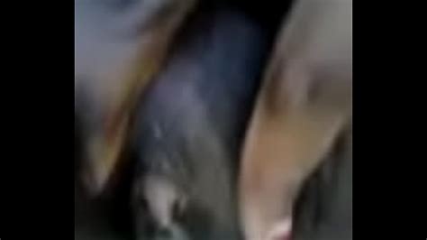 Tristina Millz Xxx Grows Hairy Pussy Xxx Xxx Mobile Porno Videos Movies IPornTV Net