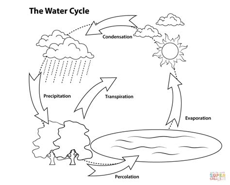 Water Cycle Coloring Pages Coloring Home