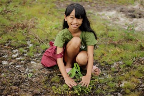 Geliat Sekolah Adat Arus Kualan Perjalanan Melestarikan Budaya