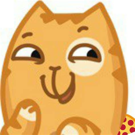 Котик персик - картинки и фото koshka.top