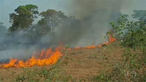 Pantanal bate recorde de focos de incêndio em setembro Jornal