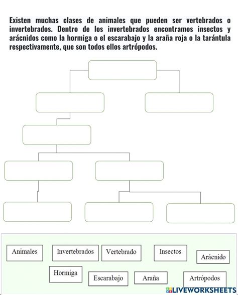 Mapa Conceptual Para Quinto Grado