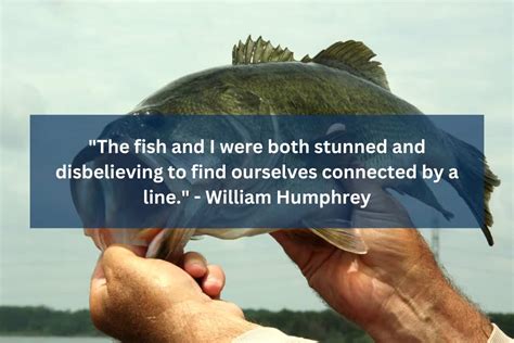 40 Best Bass Fishing Quotes Of All Time