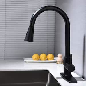 Single Handle Pull Out Sprayer Kitchen Faucet Stainless Steel Include Deckplate Cold Hot Water