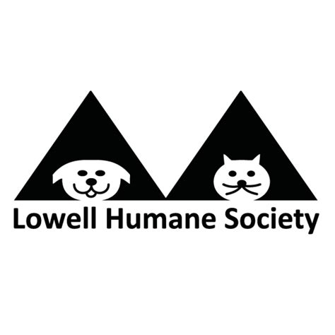 Lowell, MA - Lost and... - Lowell, MA - Lost and Found Pets