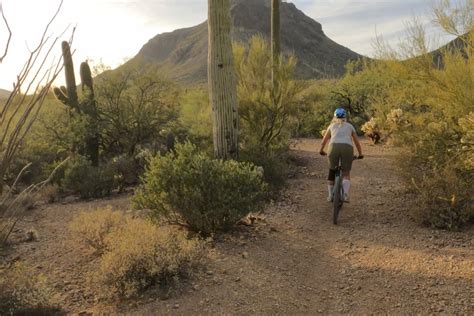 Ultimate Tucson Az Bucket List Redfin