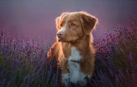 АО «ГК МЕЛКОМ» - Лидер зерноперерабатывающей отрасли