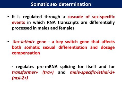 Sex Determination In Insects PDF Infertility Reproductive Health