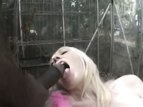 Beautiful Big Black Cock Blowjob 22 Babe Porn XHamster