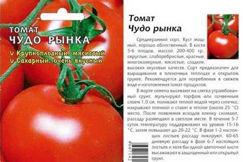 Томат чудо пальчики: описание и характеристики, особенности посадки и ...