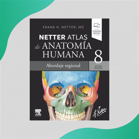 Netter Atlas De Anatomía Humana Abordaje Regional 8ed Elsevier 2023