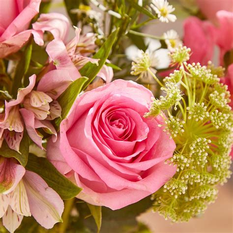 Online Pink Paradise Gift Delivery in Uk - FNP