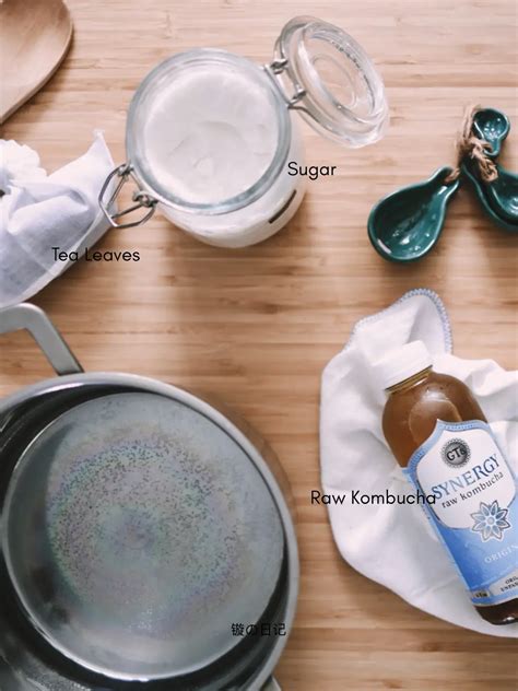 Scoop Kombucha Lemon8 Search