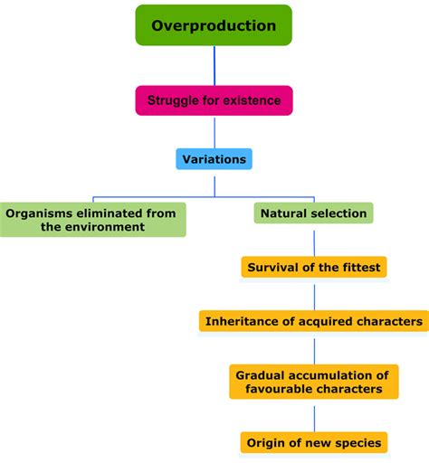 Mind Map Lesson Science State Board Class 10