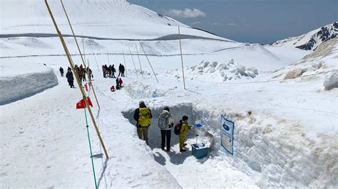 2024年の雪の壁は14m！全線開通のアルペンルートを歩いて満喫 富山の春定番の観光スポット【立山黒部・雪の大谷フェスティバル】｜おでかけ