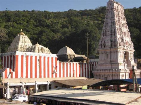 temple  simhachalam  geared   chandanotsavam