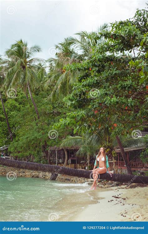 Jeune Fille Dans Le Bikini Se Reposant Sur Le Palmier Photo stock Image du été tropical