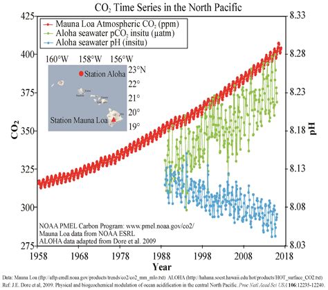 Dissolved Gases Carbon Dioxide Ph And Ocean Acidification