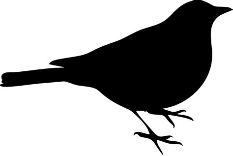 Svg Amsel Tier Vogel Kostenloses Svg Bild Symbol Svg Silh The Best