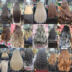 Osf Mission Partner Resources Are You Sabotaging Your Own Success Find Out